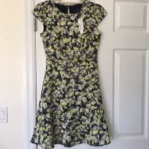 NWT JCrew Dress 00